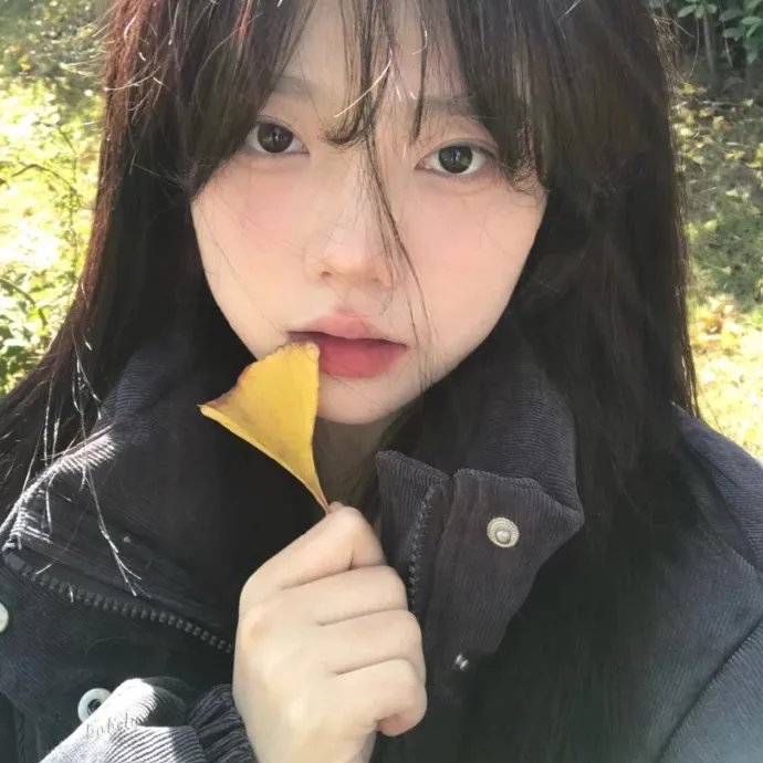 鹬
